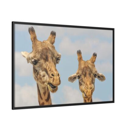 Two Giraffe Face Close-up Framed Canvas