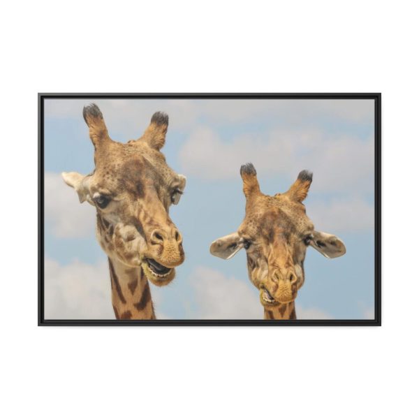 Two Giraffe Face Close-up Framed Canvas