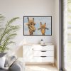 Two Giraffe Face Close-up Framed Canvas