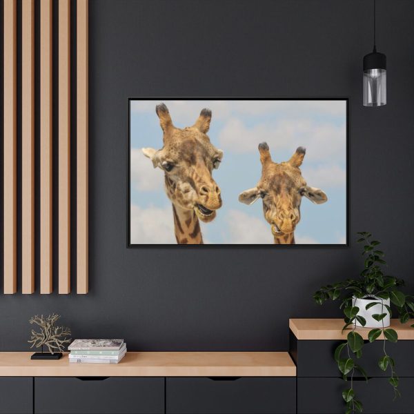 Two Giraffe Face Close-up Framed Canvas