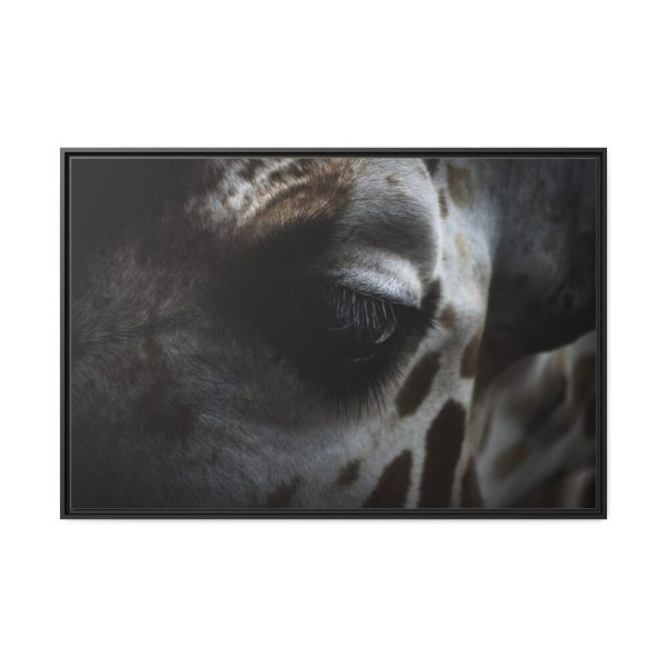Giraffe Black Eye Framed Canvas