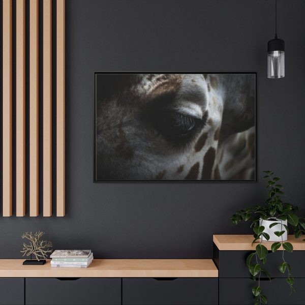 Giraffe Black Eye Framed Canvas