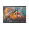 88289-746.jpg Butterfly Admiral Insect Framed Canvas