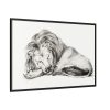 88289-75.jpg Lying Lion by Jean Bernard Framed Canvas