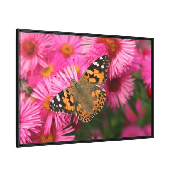 88289-750.jpg Butterfly on Pink Flower Framed Canvas