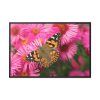 88289-751.jpg Butterfly on Pink Flower Framed Canvas