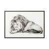 88289-76.jpg Lying Lion by Jean Bernard Framed Canvas