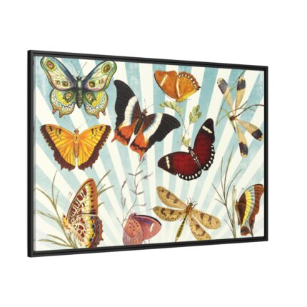 Butterfly Vintage Collage Sky Framed Canvas