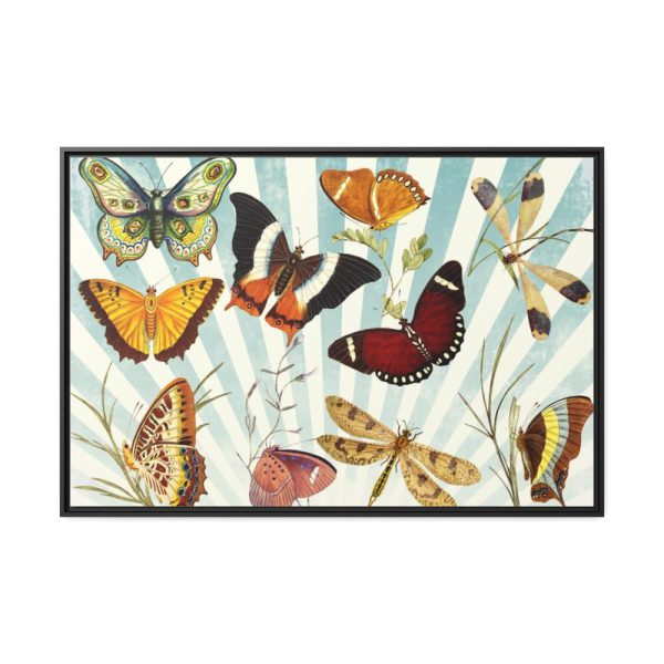 Butterfly Vintage Collage Sky Framed Canvas