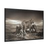 Lioness with Cubs Framed Canvas