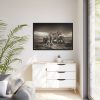 Lioness with Cubs Framed Canvas