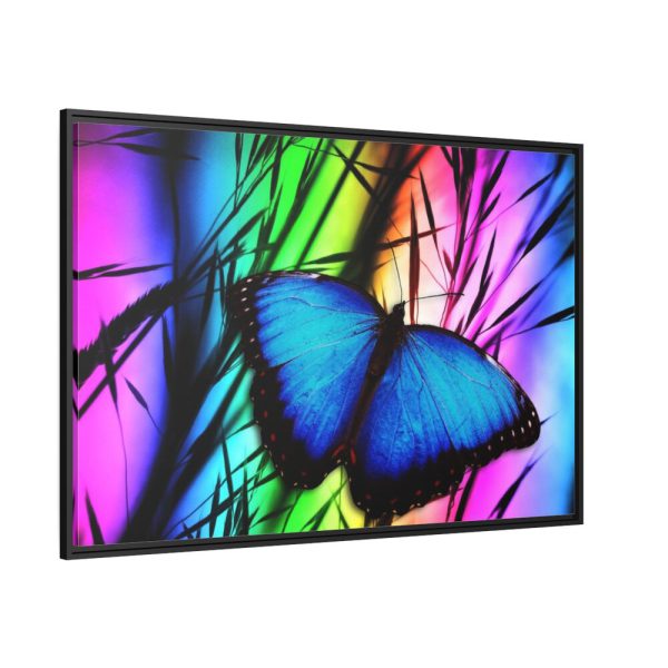 88289-775.jpg Butterfly Blue Insect Framed Canvas