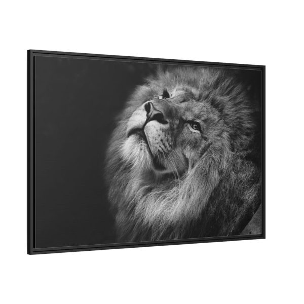 Male Lion Head Closeup Framed Canvas