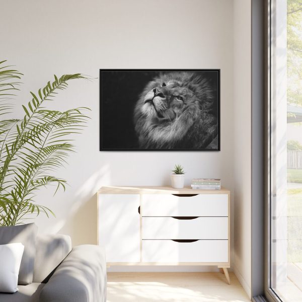 Male Lion Head Closeup Framed Canvas