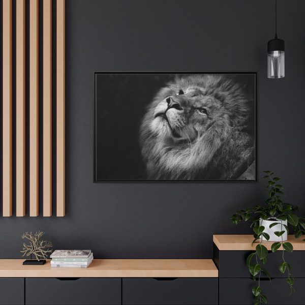 Male Lion Head Closeup Framed Canvas