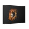 Glowing Lion Framed Canvas