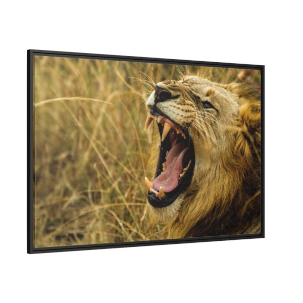 Lion Roar Wild Life Framed Canvas