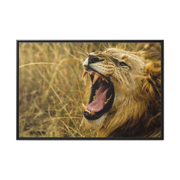 Lion Roar Wild Life Framed Canvas