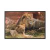 Lion South Africa Framed Canvas