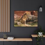 Lion South Africa Framed Canvas - Image 5