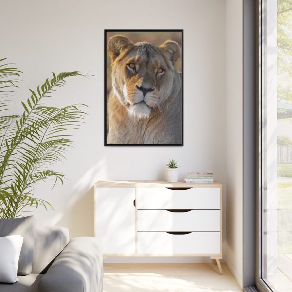 Female Lion Closeup Framed Canvas