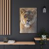 Female Lion Closeup Framed Canvas