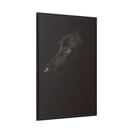 Black Labrador Retriever Dog Framed Canvas