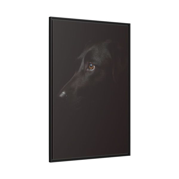 88299-260.jpg Black Labrador Retriever Dog Framed Canvas
