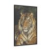 88299-265.jpg Tiger by Vastagh Géza Framed Canvas