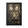 Wild Tiger Framed Canvas