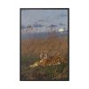 88299-296.jpg A Tiger Among Rushes In The Moonlight Framed Canvas