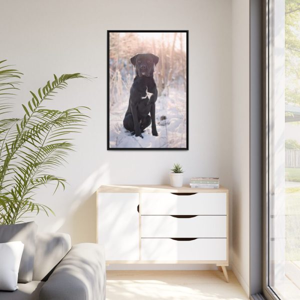 88299-318.jpg Black Dog Sitting on Snow Framed Canvas
