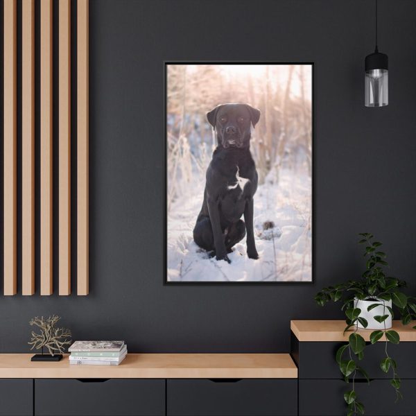 88299-319.jpg Black Dog Sitting on Snow Framed Canvas