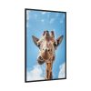 88299-345.jpg An Up-Close Look at a Giraffe at the Gladys Porter Zoo Framed Canvas