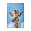 88299-346.jpg An Up-Close Look at a Giraffe at the Gladys Porter Zoo Framed Canvas