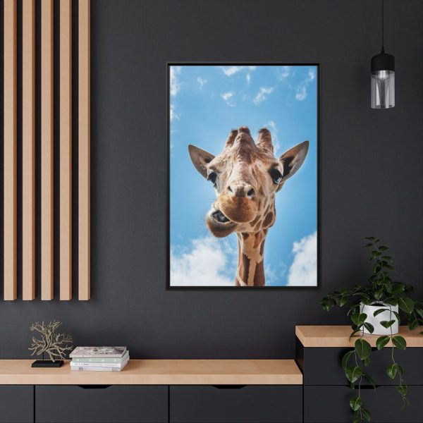 88299-349.jpg An Up-Close Look at a Giraffe at the Gladys Porter Zoo Framed Canvas