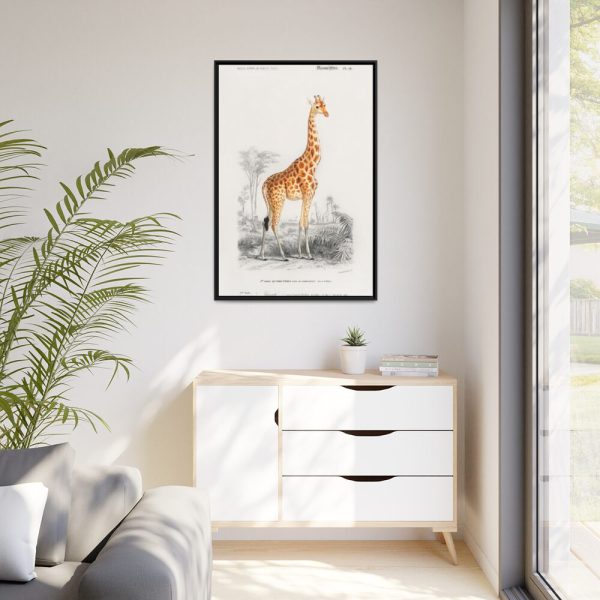 88299-373.jpg Giraffe (Giraffa Camelopardalis) Framed Canvas
