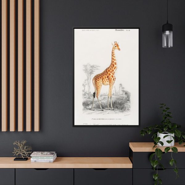88299-374.jpg Giraffe (Giraffa Camelopardalis) Framed Canvas