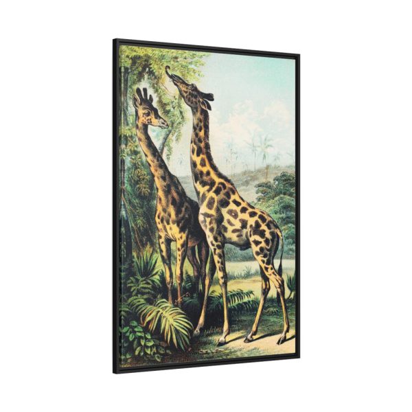 Giraffe from Johnson's Household Book of Nature by John Karst Framed Canvas