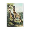 Giraffe from Johnson's Household Book of Nature by John Karst Framed Canvas