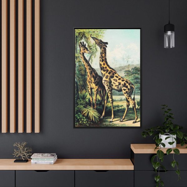 Giraffe from Johnson's Household Book of Nature by John Karst Framed Canvas