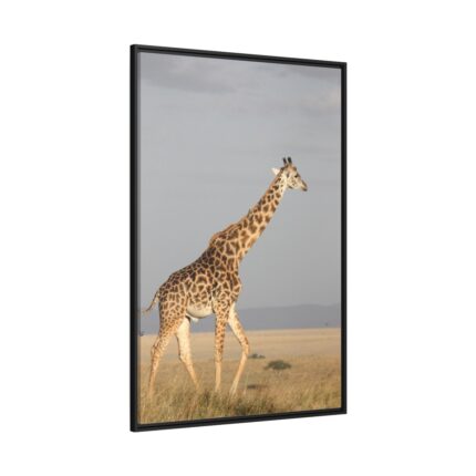 Giraffe in the Nature Framed Canvas