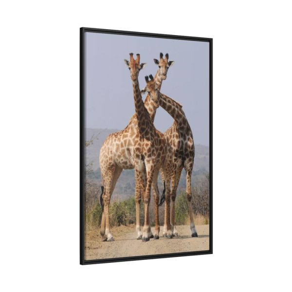 Giraffe Family Framed Canvas