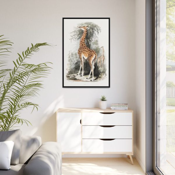 88299-393.jpg Vintage Illustration by Georges Cuvier Framed Canvas