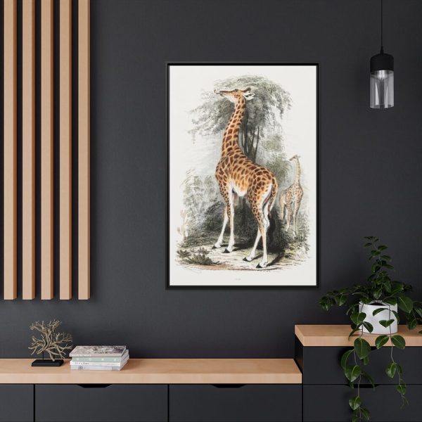 88299-394.jpg Vintage Illustration by Georges Cuvier Framed Canvas