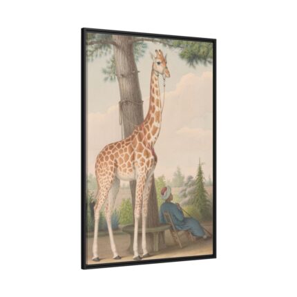 Study of the Giraffe by Nicolas Hüet Framed Canvas