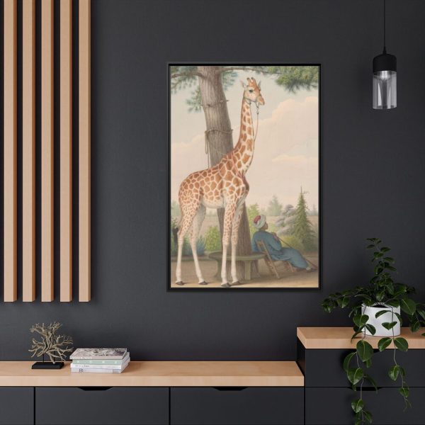 88299-399.jpg Study of the Giraffe by Nicolas Hüet Framed Canvas