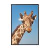 88299-401.jpg Giraffe Cameloparadalis Fauna Framed Canvas