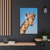 88299-404.jpg Giraffe Cameloparadalis Fauna Framed Canvas