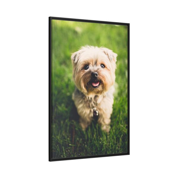 88299-55.jpg Little Puppy on the Grass Framed Canvas